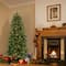 6.5 Ft. Pre-Lit Feel Real® Downswept Douglas Fir Slim Artificial Christmas Tree, Clear Lights